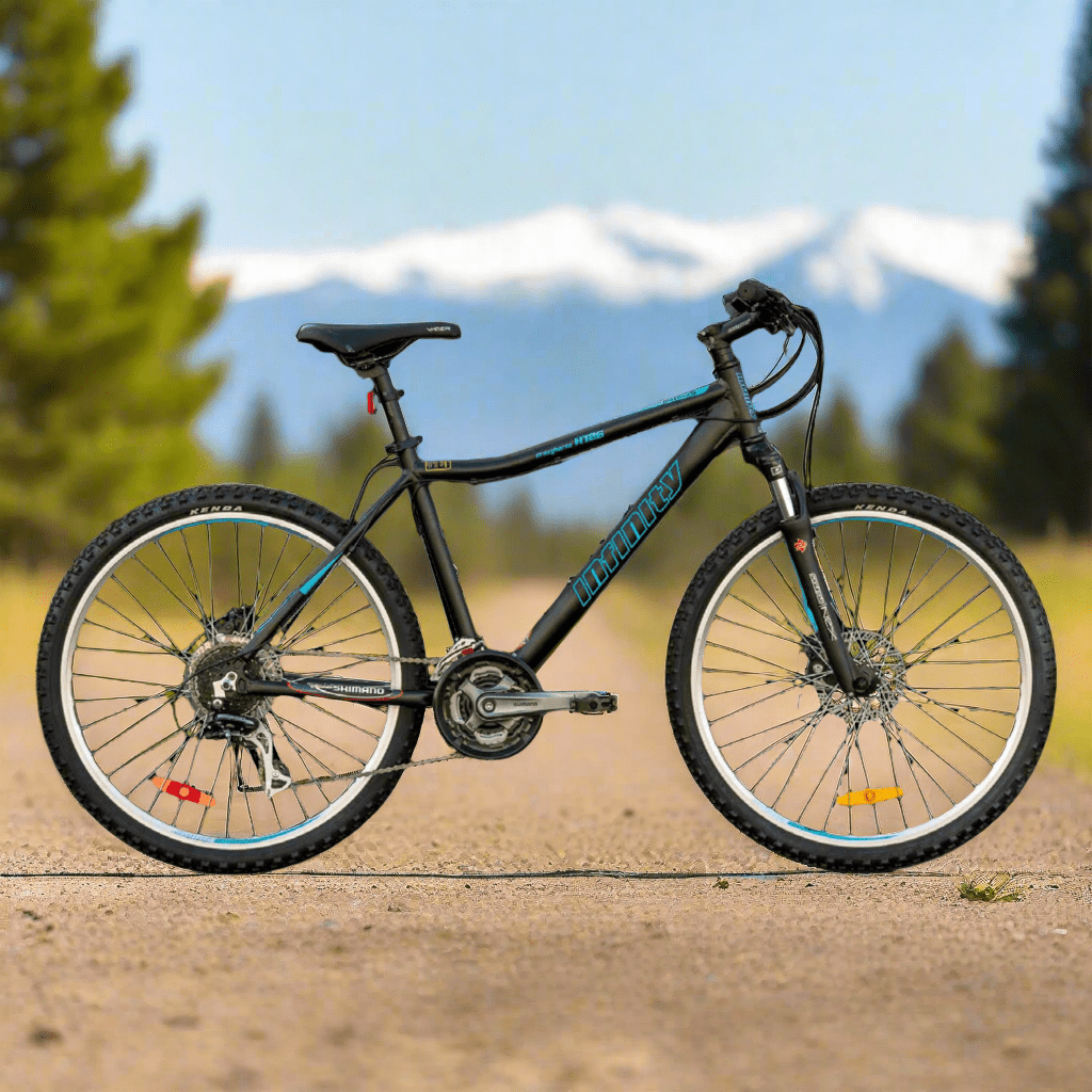2025 Infinity 3rd GENERATION Crazyhorse HT26 Plateau SHIMANO 21-Speed With Front Suspension