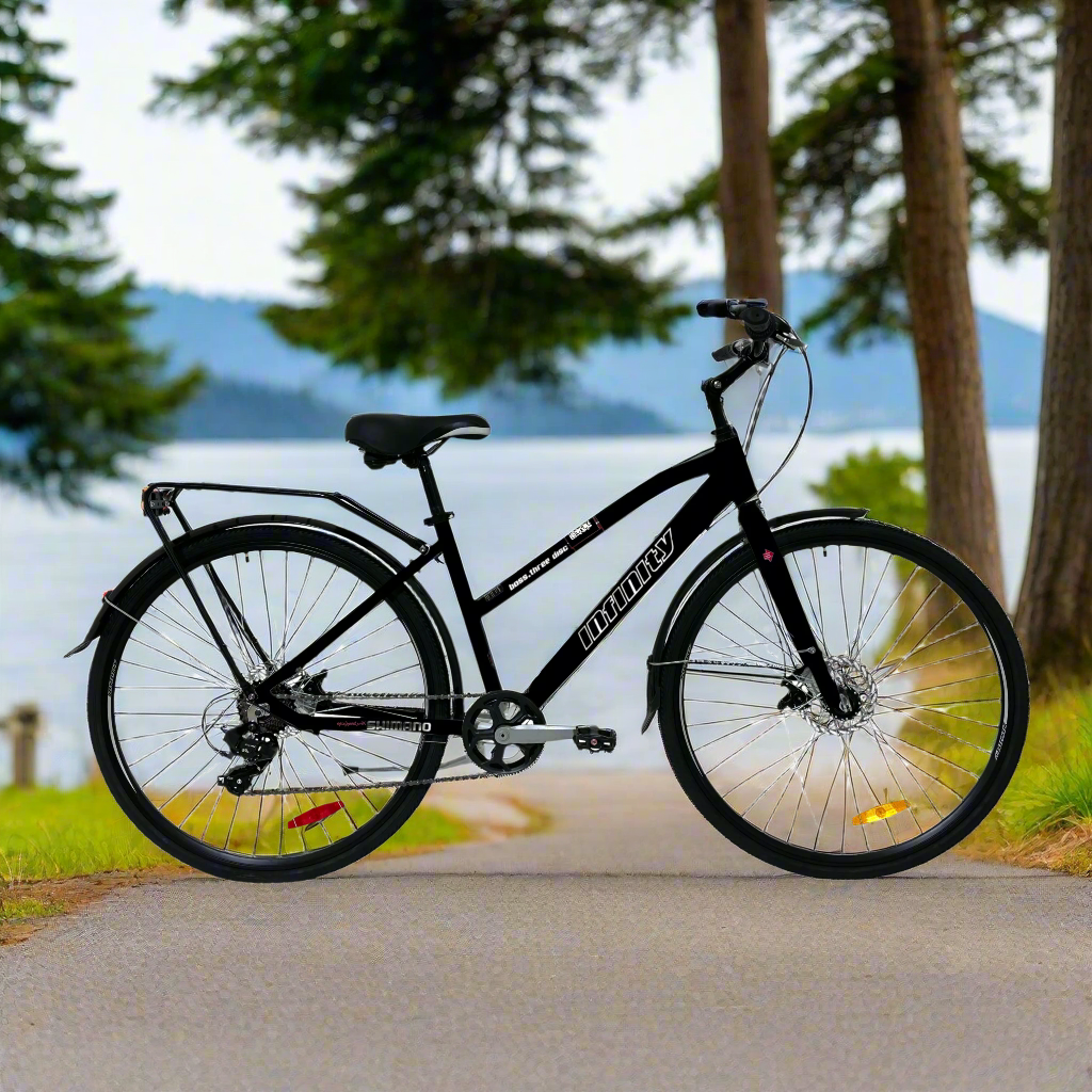 Infinity Boss. three Comfort Hybrid 7-speed bicycle